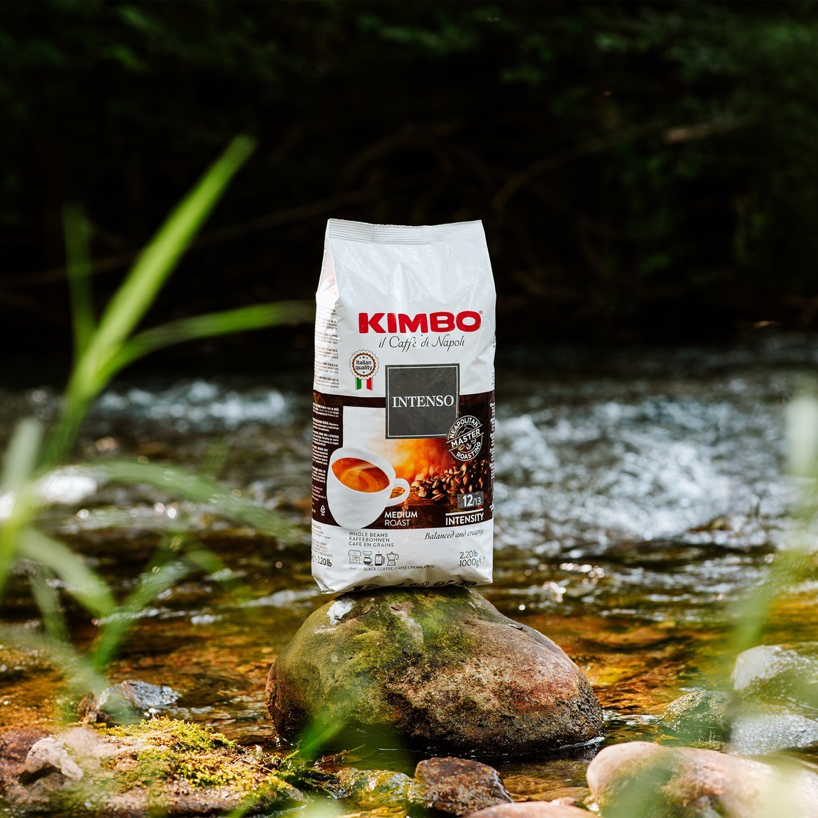 Кофе в зёрнах KIMBO Intenso
